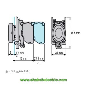 پوش باتن